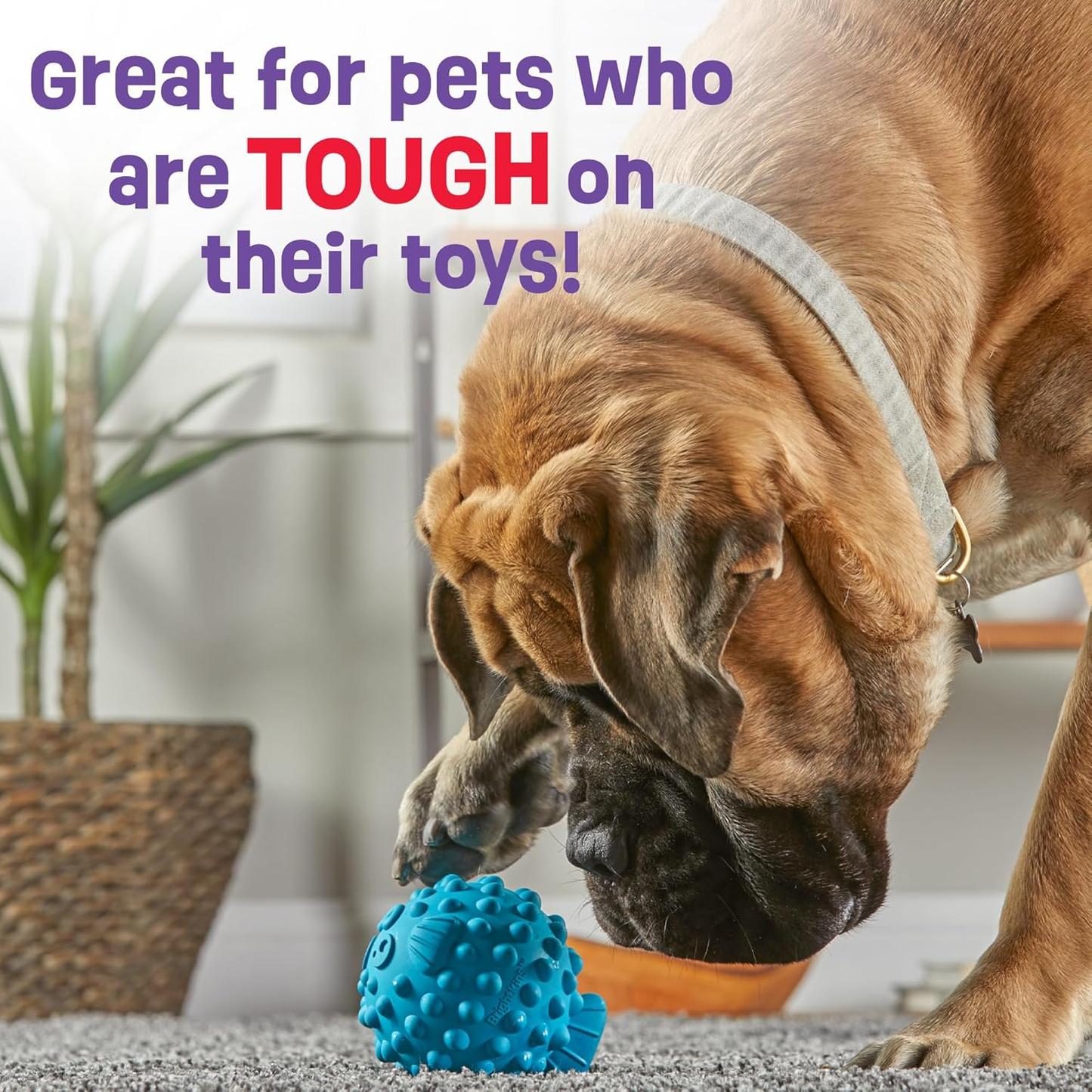 Brightkins Large Pufferfish