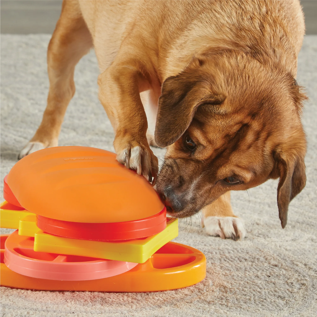 Brightkins Pupstrami Surprise Treat Puzzle