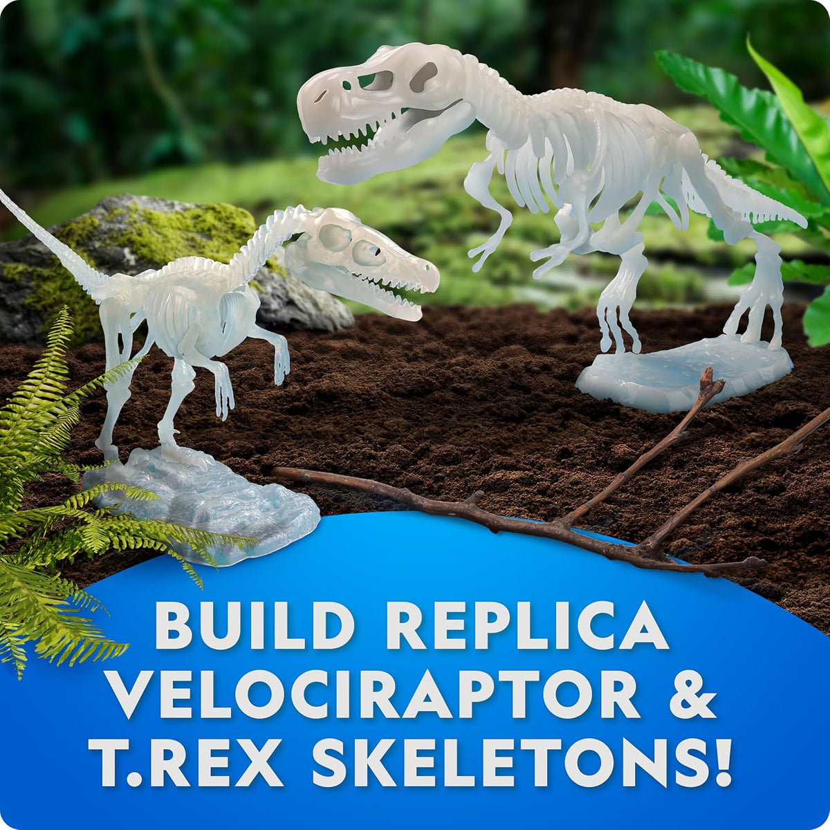 Glow-in-the-Dark Velociraptor Model Skeleton