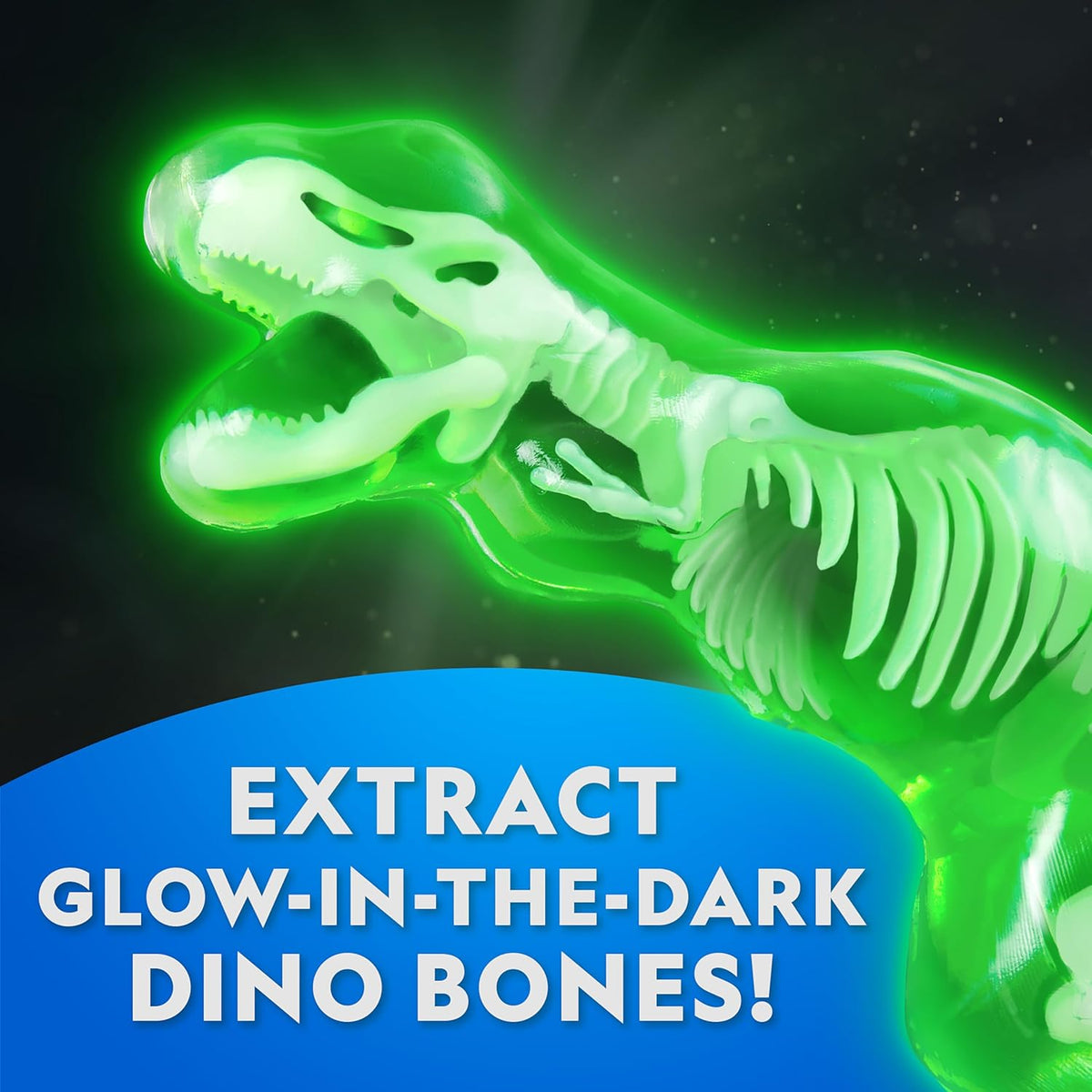 National Geographic STEM Dissection Lab T. Rex Model with Glow-in-the-Dark Feature and Tools for Educational Use