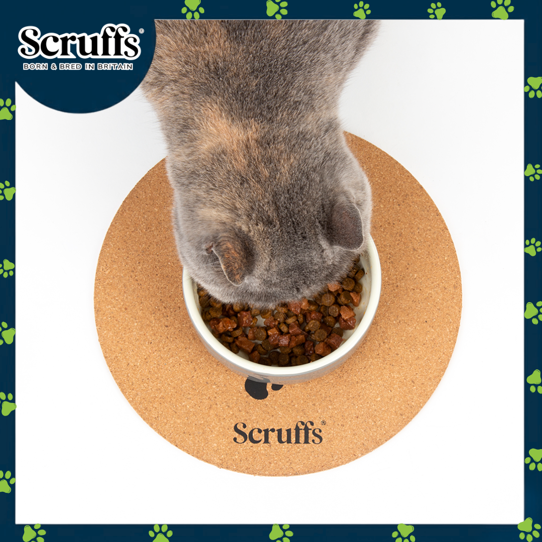 Scruffs 25cm Set of 2 Cork Pet Placemats