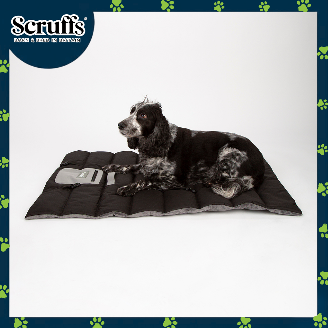Scruffs Expedition Roll Up Travel Pet Bed