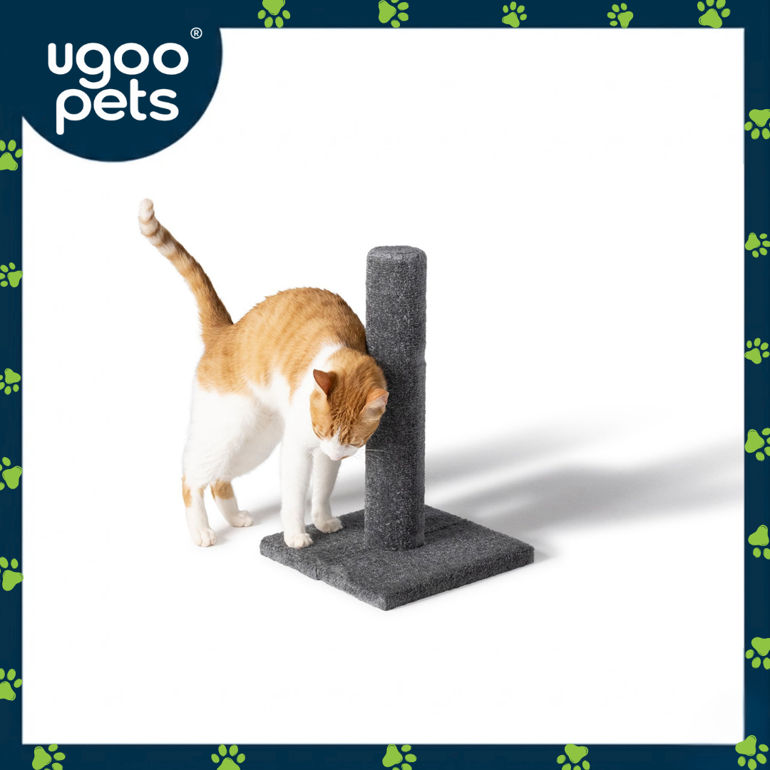 Ugoo Carpet Post
