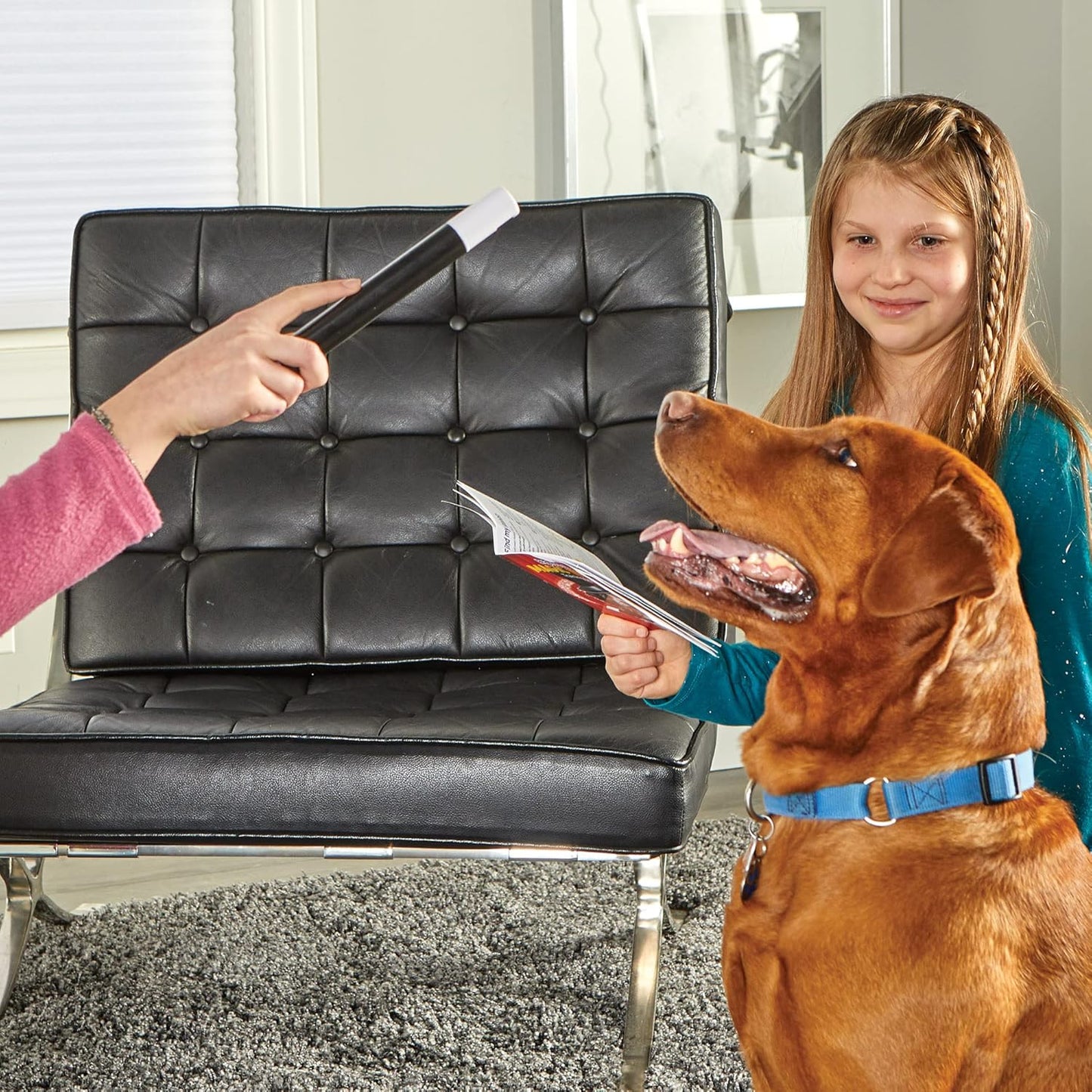 Brightkins Magic Trick! Training Set