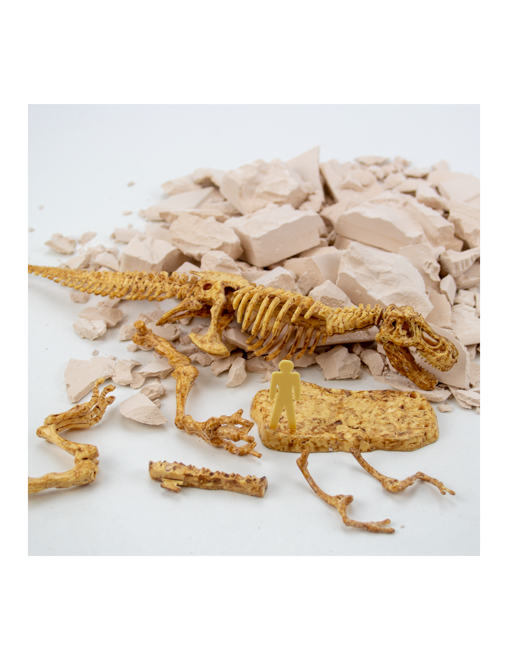 T-Rex Fossil Excavation