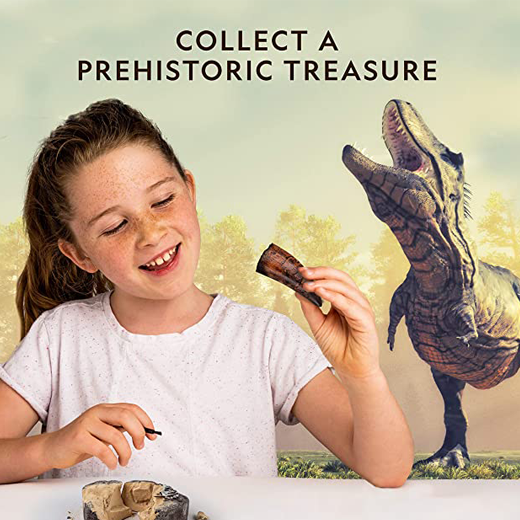 Dinosaur Dig Kit