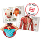 ABACUS VIRTUAL REALITY GOOGLES/ VIEWER HUMAN BODY MODEL KIT