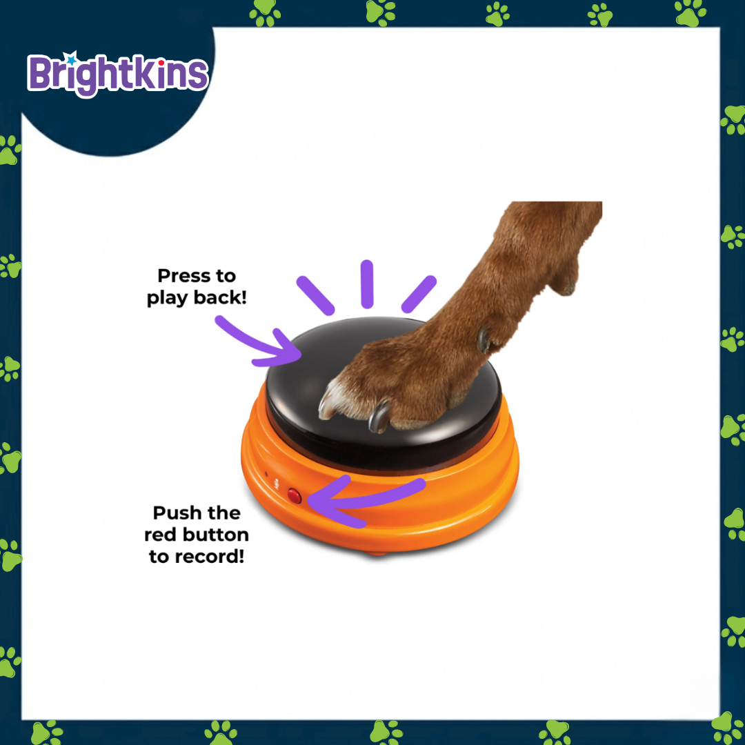 Ogapets Brightkins Hunger for Words: Talking Pet Starter Set - Durable, Interactive Mental Stimulation, Training & Enrichment Tools