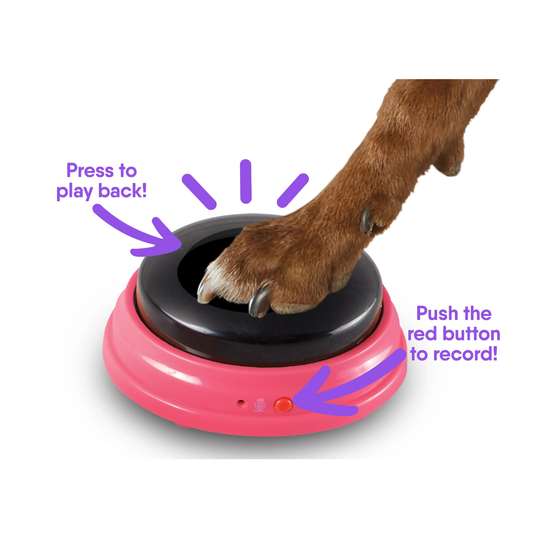 Brightkins Talking Pet Words Locations