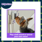 Ogapets Brightkins Talking Pet Doorbell - Customizable Sounds, Easy Installation, Durable Design, User-friendly for Pet Owners & Pets