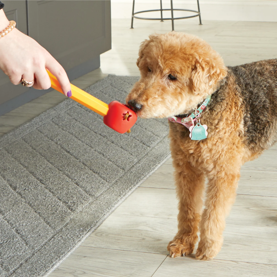 Brightkins Pouch School! Training Set