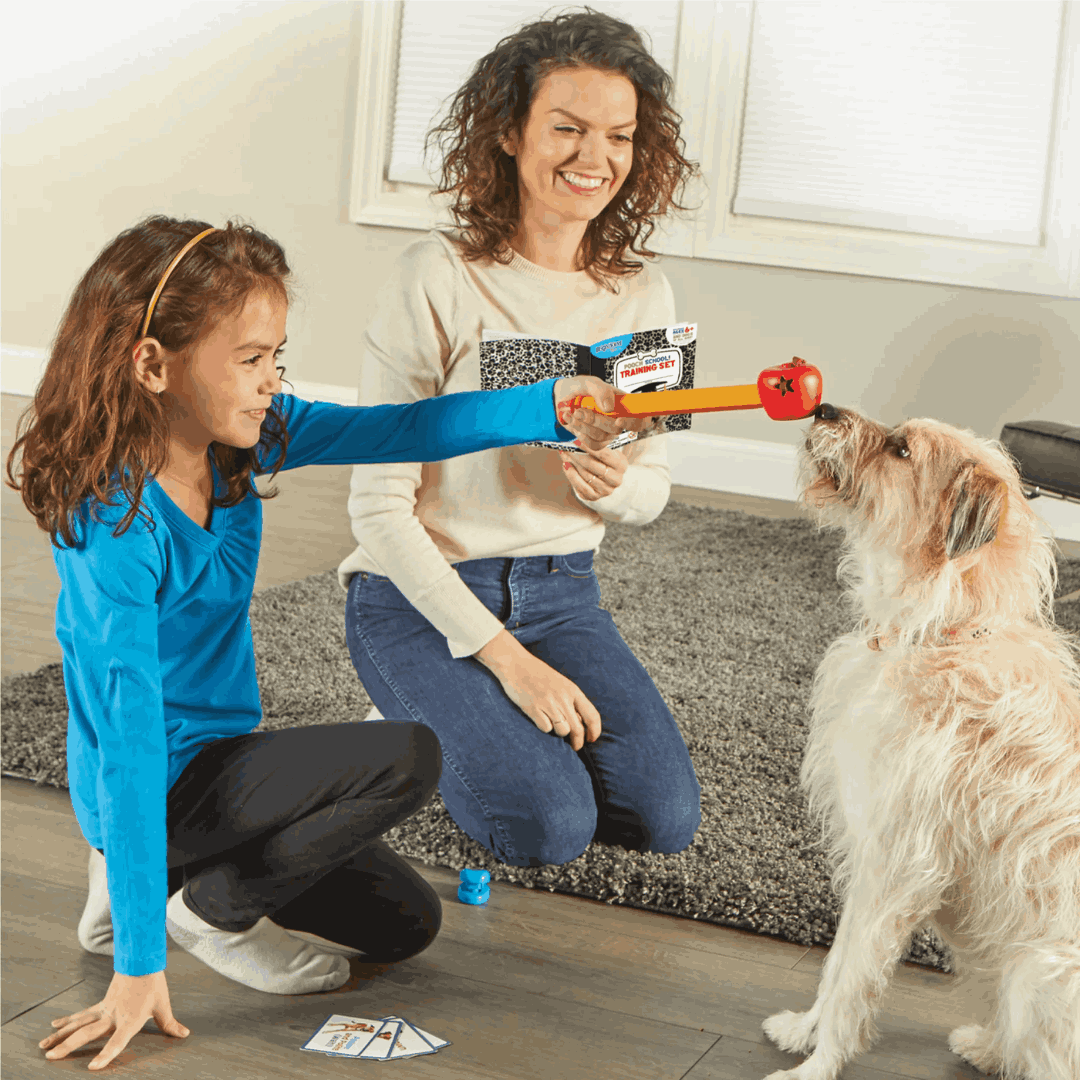 Brightkins Pouch School! Training Set