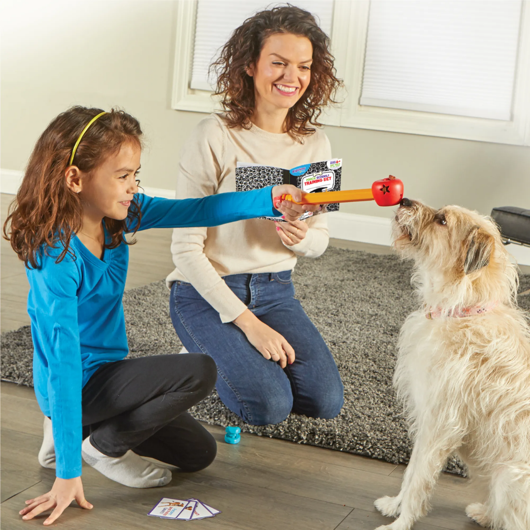 Brightkins Pouch School! Training Set