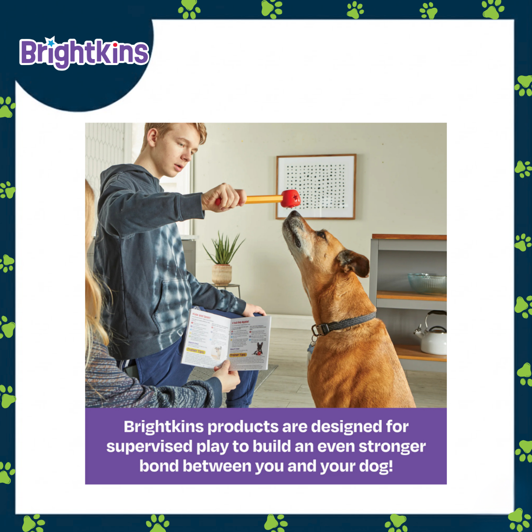 Ogapets Brightkins Pooch School Training Set - Family-Friendly Kit with Interactive Toys & Professional-Grade Tools for Dog Commands