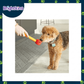 Ogapets Brightkins Pooch School Training Set - Family-Friendly Kit with Interactive Toys & Professional-Grade Tools for Dog Commands