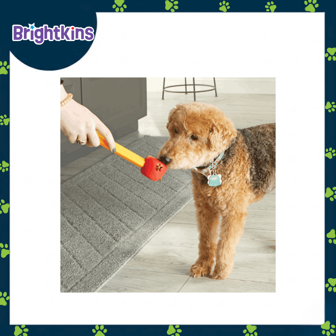 Ogapets Brightkins Pooch School Training Set - Family-Friendly Kit with Interactive Toys & Professional-Grade Tools for Dog Commands