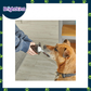 Ogapets Brightkins Magic Trick Training Set - Family-Friendly with 10 Tricks, Toys, and Tools for Fun and Interactive Sessions