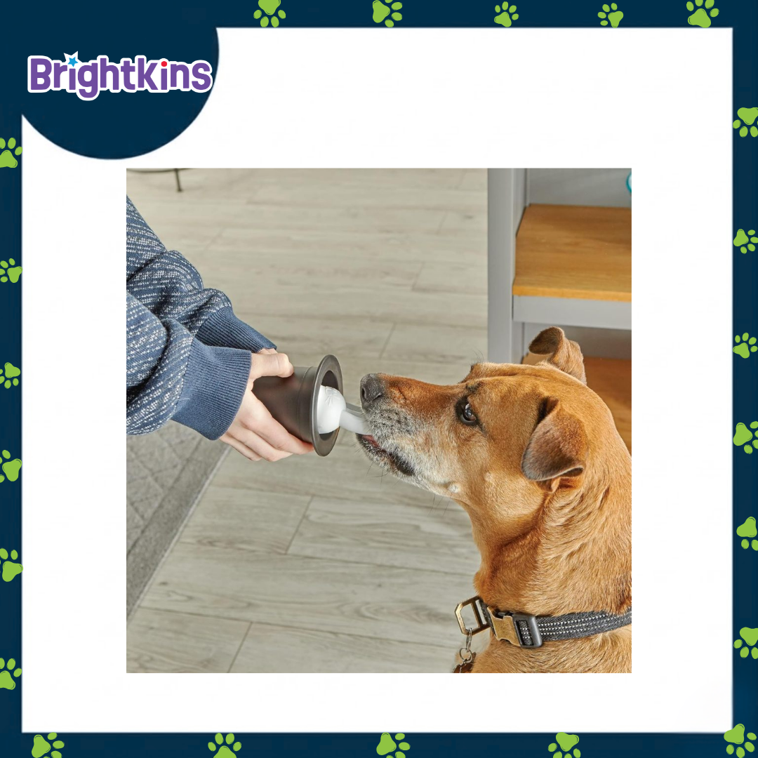 Ogapets Brightkins Magic Trick Training Set - Family-Friendly with 10 Tricks, Toys, and Tools for Fun and Interactive Sessions