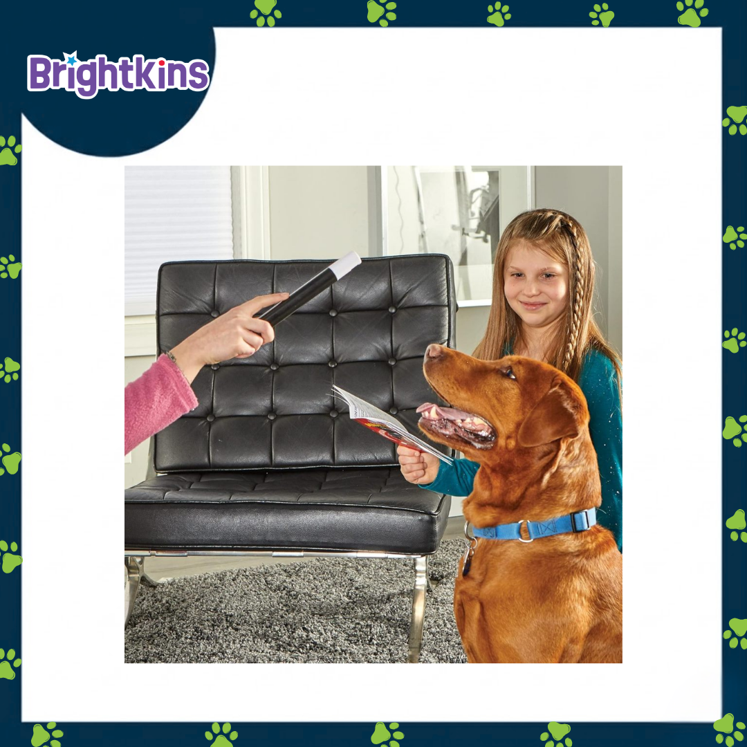 Ogapets Brightkins Magic Trick Training Set - Family-Friendly with 10 Tricks, Toys, and Tools for Fun and Interactive Sessions