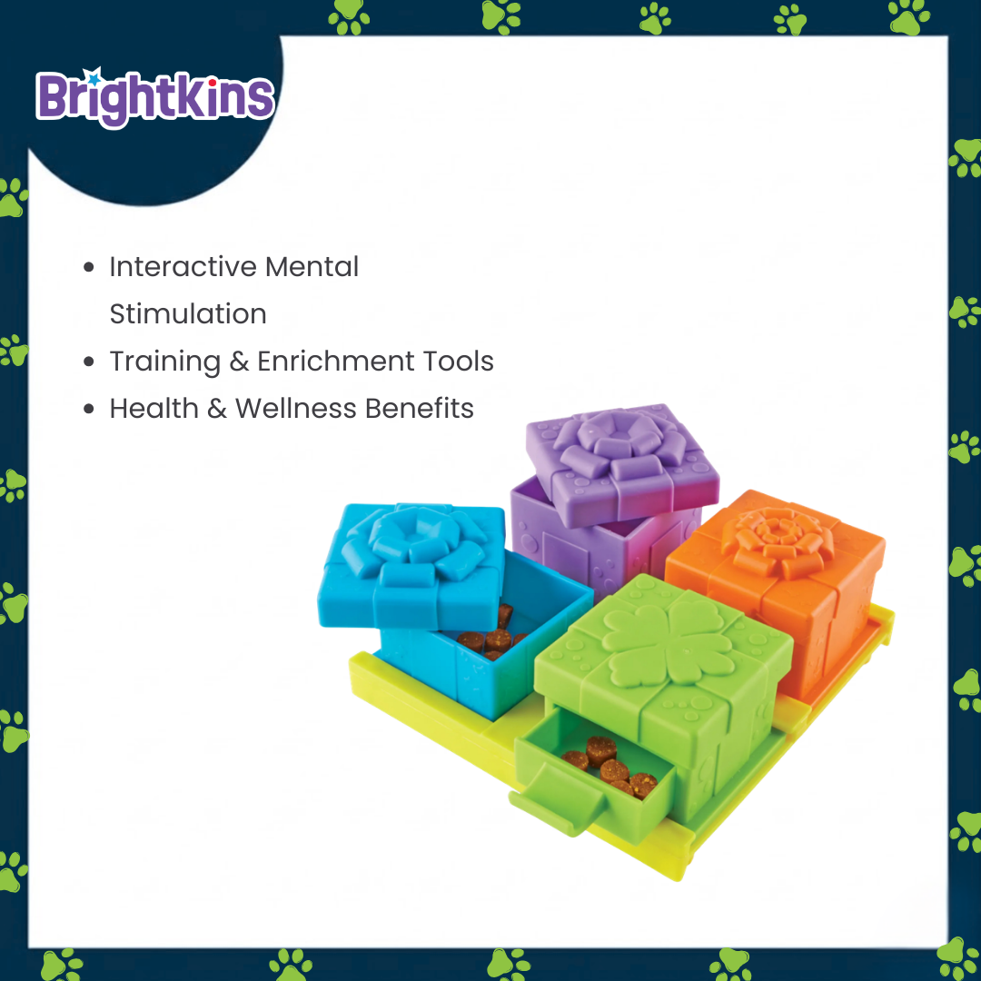 Ogapets Brightkins Surprise Party Treat Puzzle - Interactive for Mental Stimulation, Durable, Pet Safe Materials & 4-Way Interactive Design