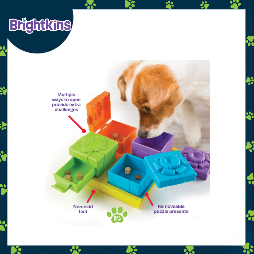 Ogapets Brightkins Surprise Party Treat Puzzle - Interactive for Mental Stimulation, Durable, Pet Safe Materials & 4-Way Interactive Design