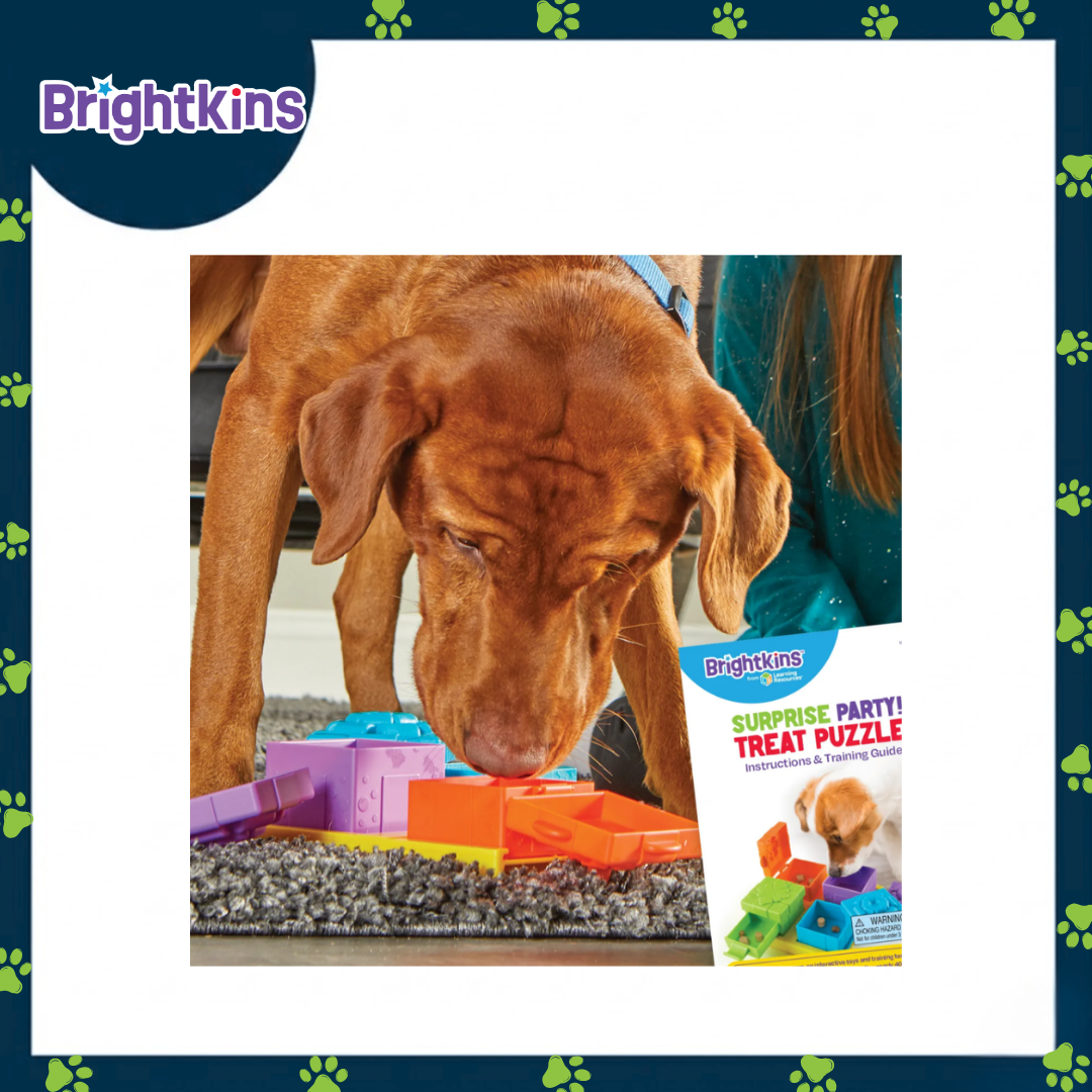 Ogapets Brightkins Surprise Party Treat Puzzle - Interactive for Mental Stimulation, Durable, Pet Safe Materials & 4-Way Interactive Design