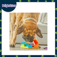 Ogapets Brightkins Surprise Party Treat Puzzle - Interactive for Mental Stimulation, Durable, Pet Safe Materials & 4-Way Interactive Design