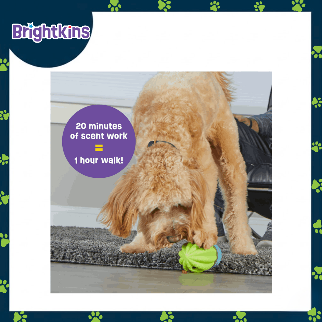 Ogapets Brightkins Cactus Surprise Treat Dispenser - Fun & Functional Dog Toy, Easy to Clean BPA-Free Material - Perfect for Small & Medium Dogs
