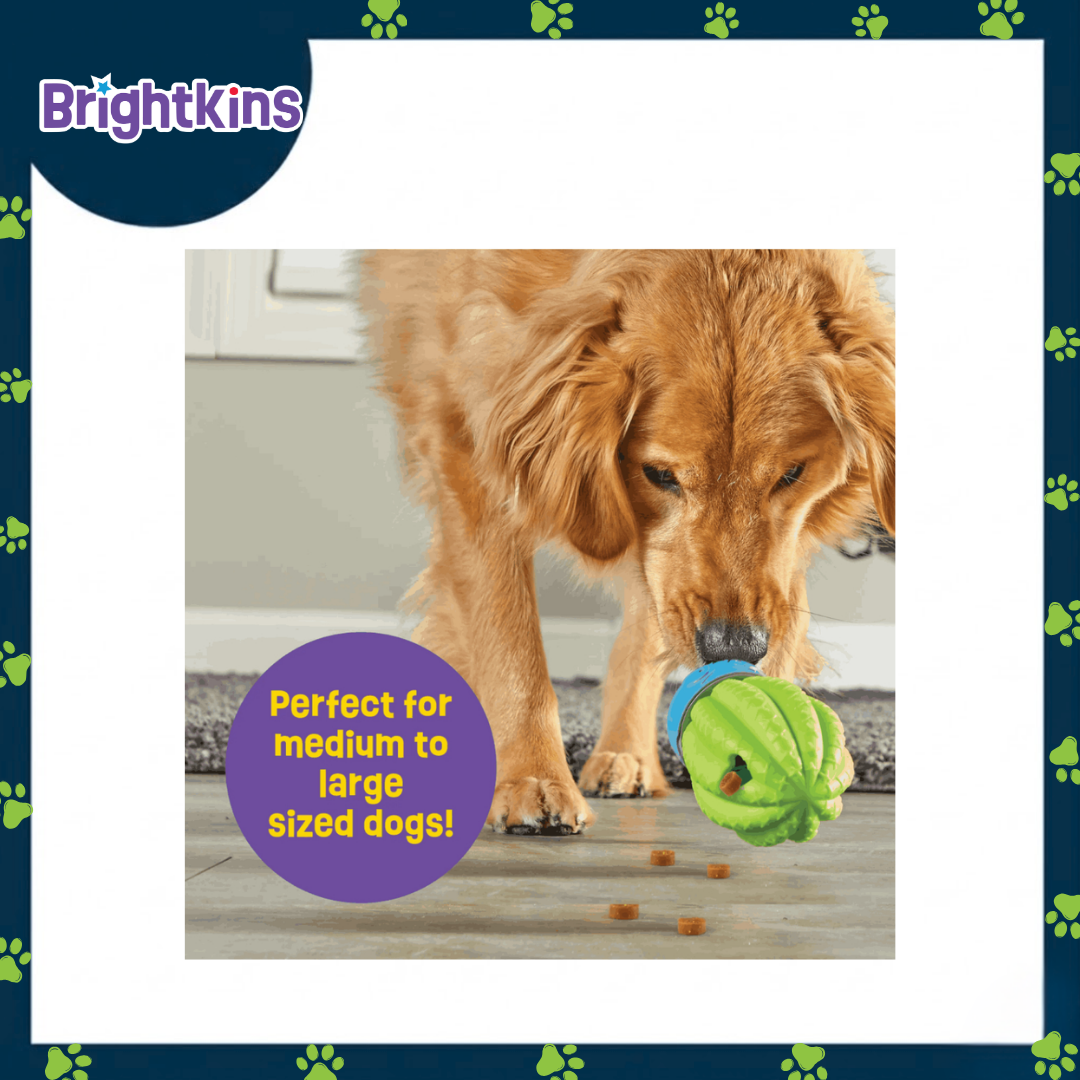 Ogapets Brightkins Cactus Surprise Treat Dispenser - Fun & Functional Dog Toy, Easy to Clean BPA-Free Material - Perfect for Small & Medium Dogs
