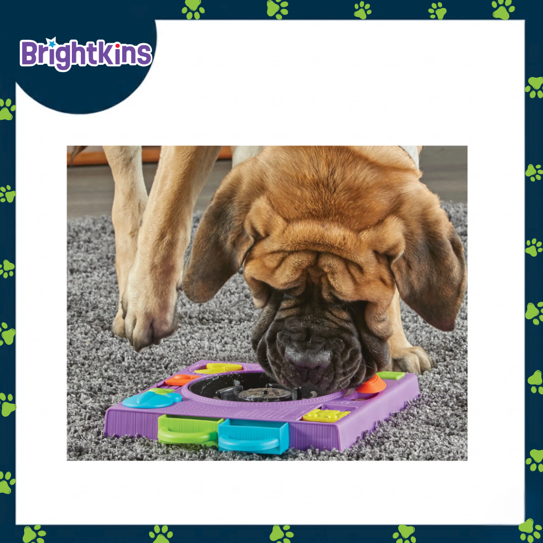 Ogapets Brightkins DJ Doggo Puzzle Feeder - 2-in-1 Treat & Slow Feeder with 11 Hidden Compartments