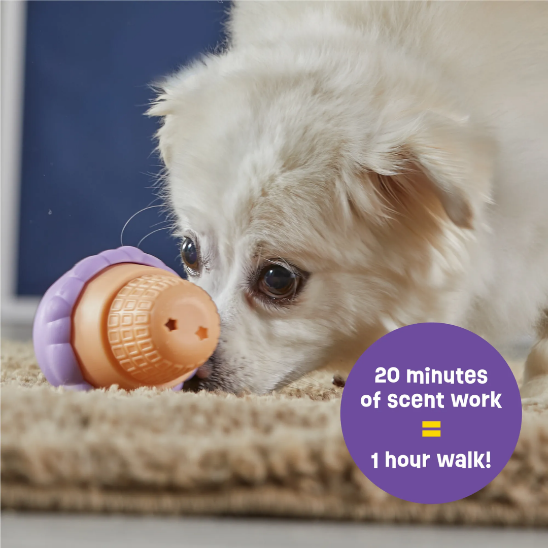 Brightkins Ice Cream Treat Dispensers Small