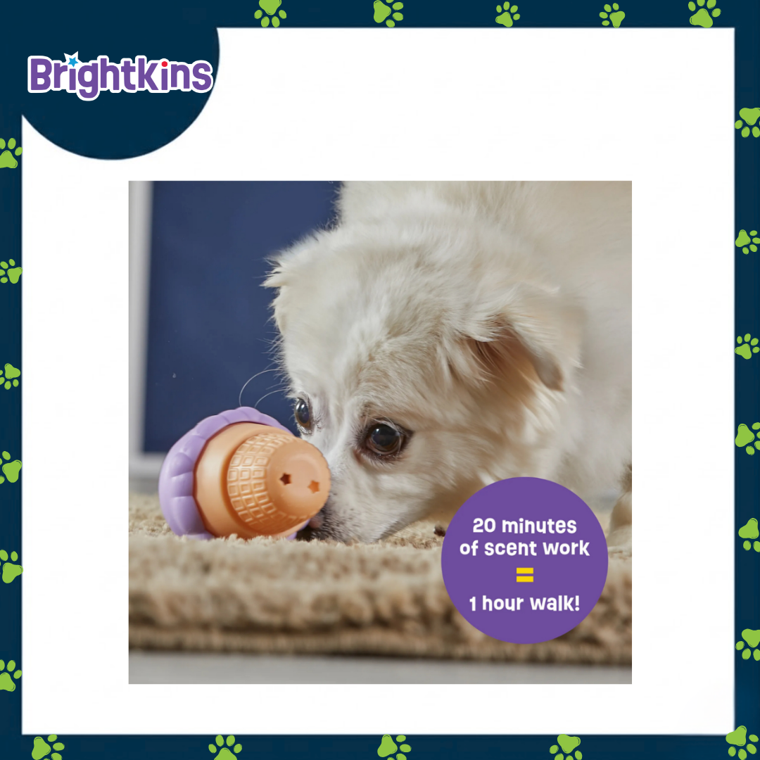 Ogapets Brightkins Ice Cream Treat Dispenser Small - Interactive Toy for Dogs, Mental Stimulation, Slow Feeder, BPA-Free, Easy to Clean