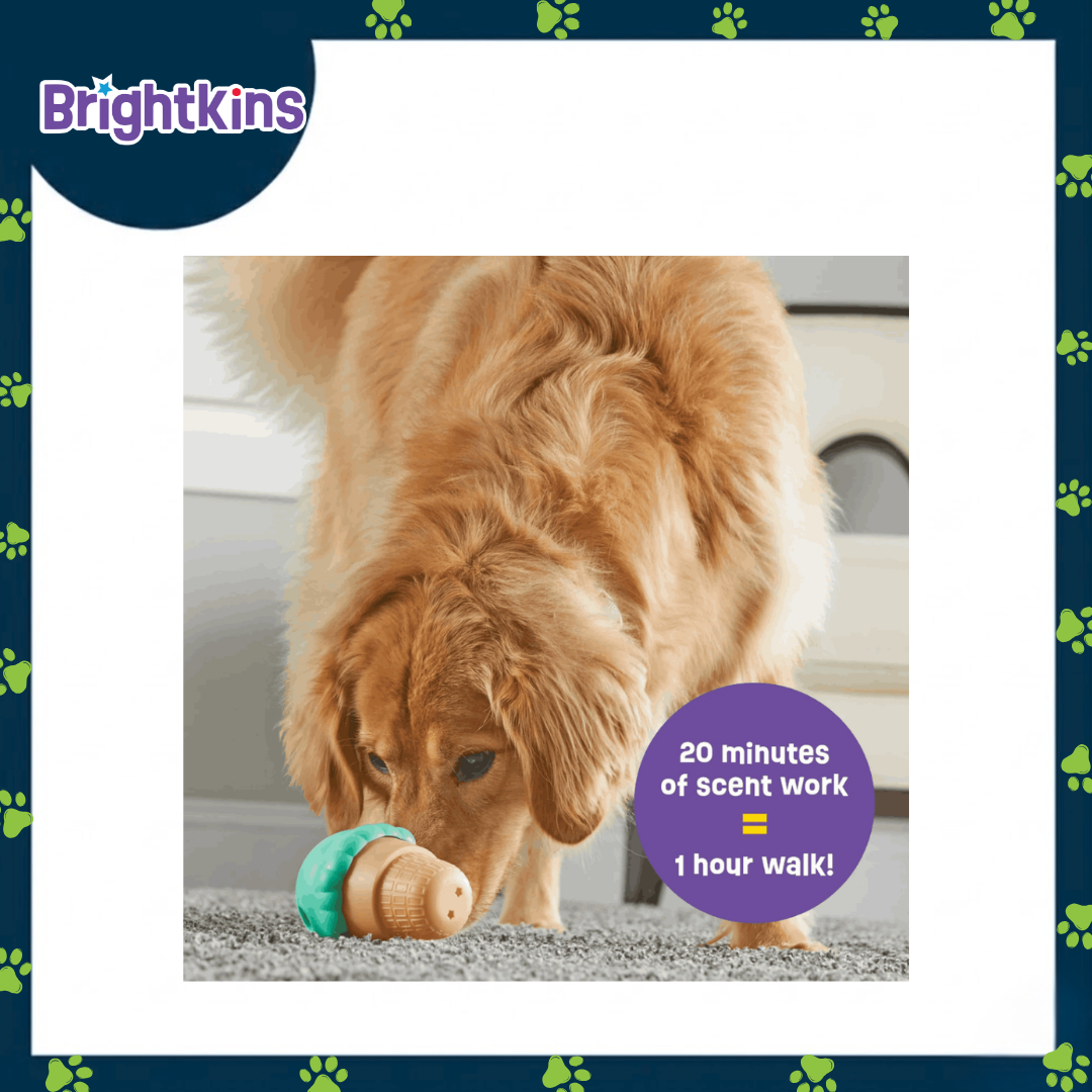 Ogapets Brightkins Large Ice Cream Treat Dispenser - BPA-Free & Easy to Clean, Interactive Pet Toy for All Dog Breeds