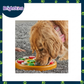 Ogapets Brightkins Pizza Party Treat Puzzle - Interactive Dog Toy with 12 Hidden Compartments for Mental Stimulation and Slow Feeding