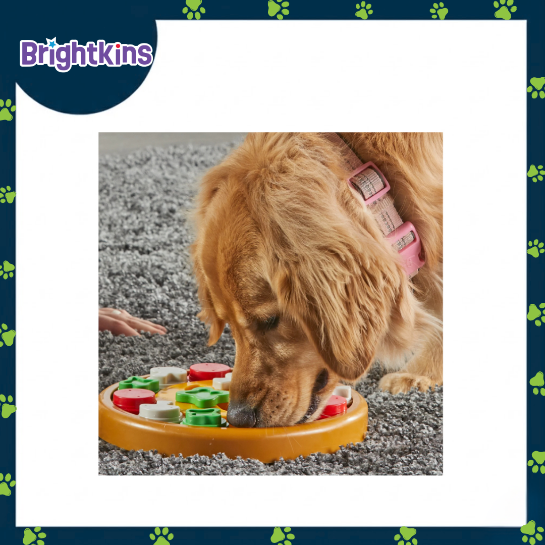 Ogapets Brightkins Pizza Party Treat Puzzle - Interactive Dog Toy with 12 Hidden Compartments for Mental Stimulation and Slow Feeding