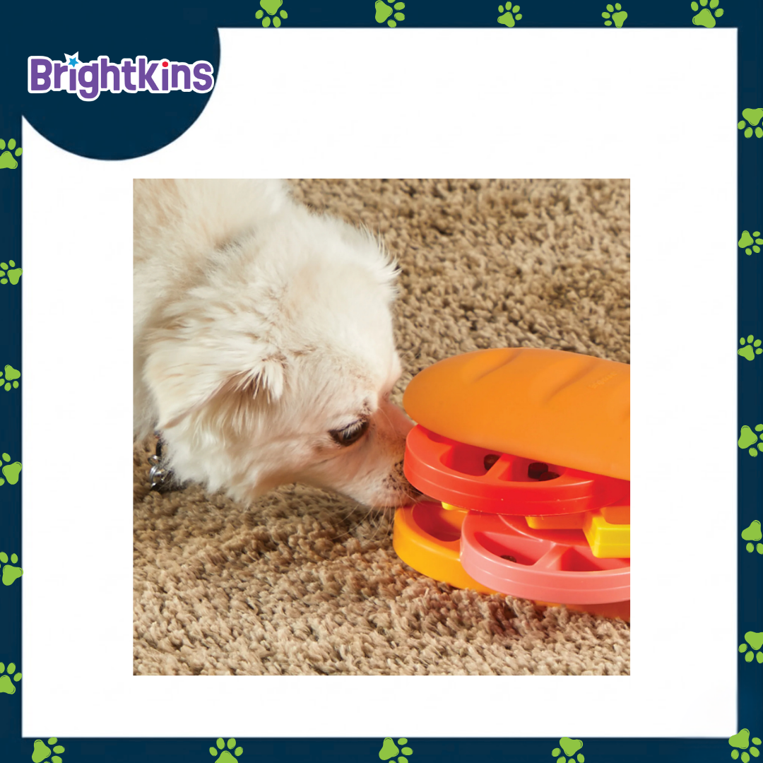 Ogapets Brightkins Pupstrami Surprise Treat Puzzle - Interactive Dog Toy with 16 Hidden Compartments for Brain-Boosting Mealtime Fun