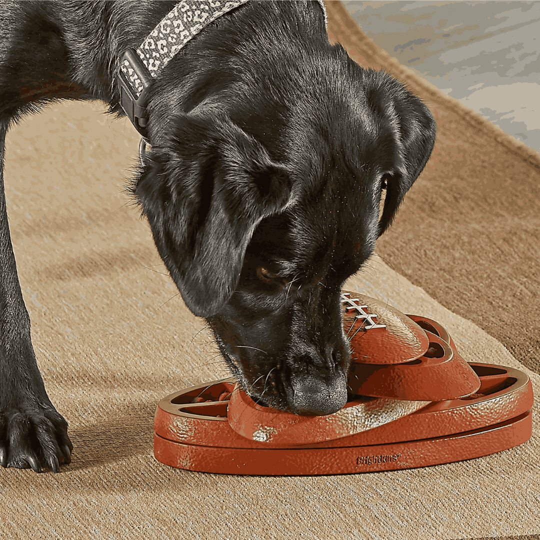 Brightkins Touchdown Time Treat Puzzle