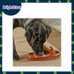 Ogapets Brightkins Touchdown Time Treat Puzzle - Interactive Dog Toy with 16 Hidden Compartments for Mental Stimulation and Slow Feeding