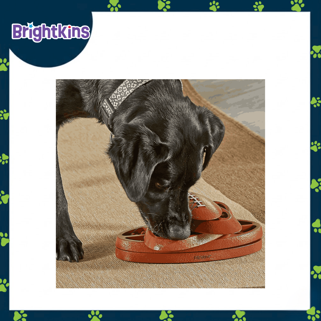 Ogapets Brightkins Touchdown Time Treat Puzzle - Interactive Dog Toy with 16 Hidden Compartments for Mental Stimulation and Slow Feeding