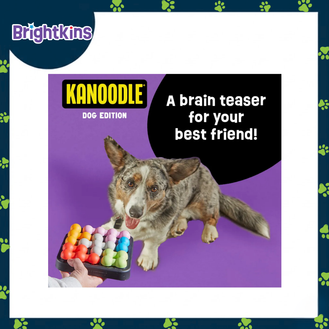 Ogapets Brightkins Kanoodle Dog Edition S Puzzle - Ultimate Treat Puzzle, Twist Slide & Hide Treats for Mental Stimulation Training & Enrichment