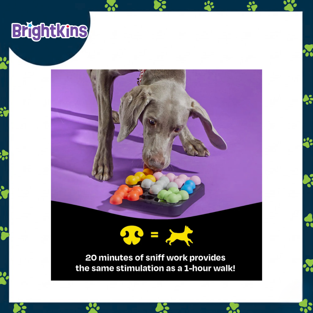 Ogapets Brightkins Kanoodle Dog Edition S Puzzle - Ultimate Treat Puzzle, Twist Slide & Hide Treats for Mental Stimulation Training & Enrichment