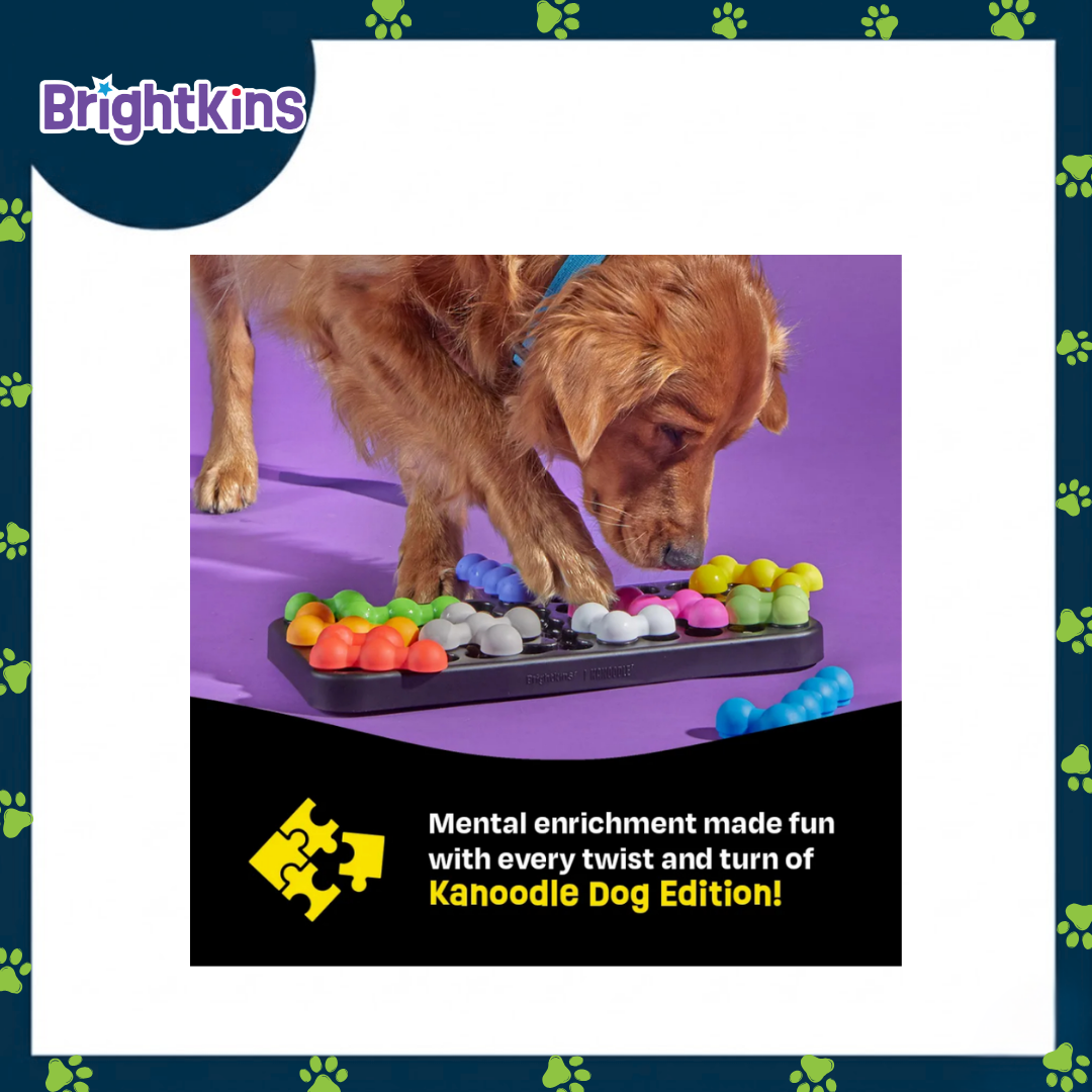 Ogapets Brightkins Kanoodle Dog Edition L Puzzle - BPA-Free, Easy to Clean with 14 Hidden Treat Compartments