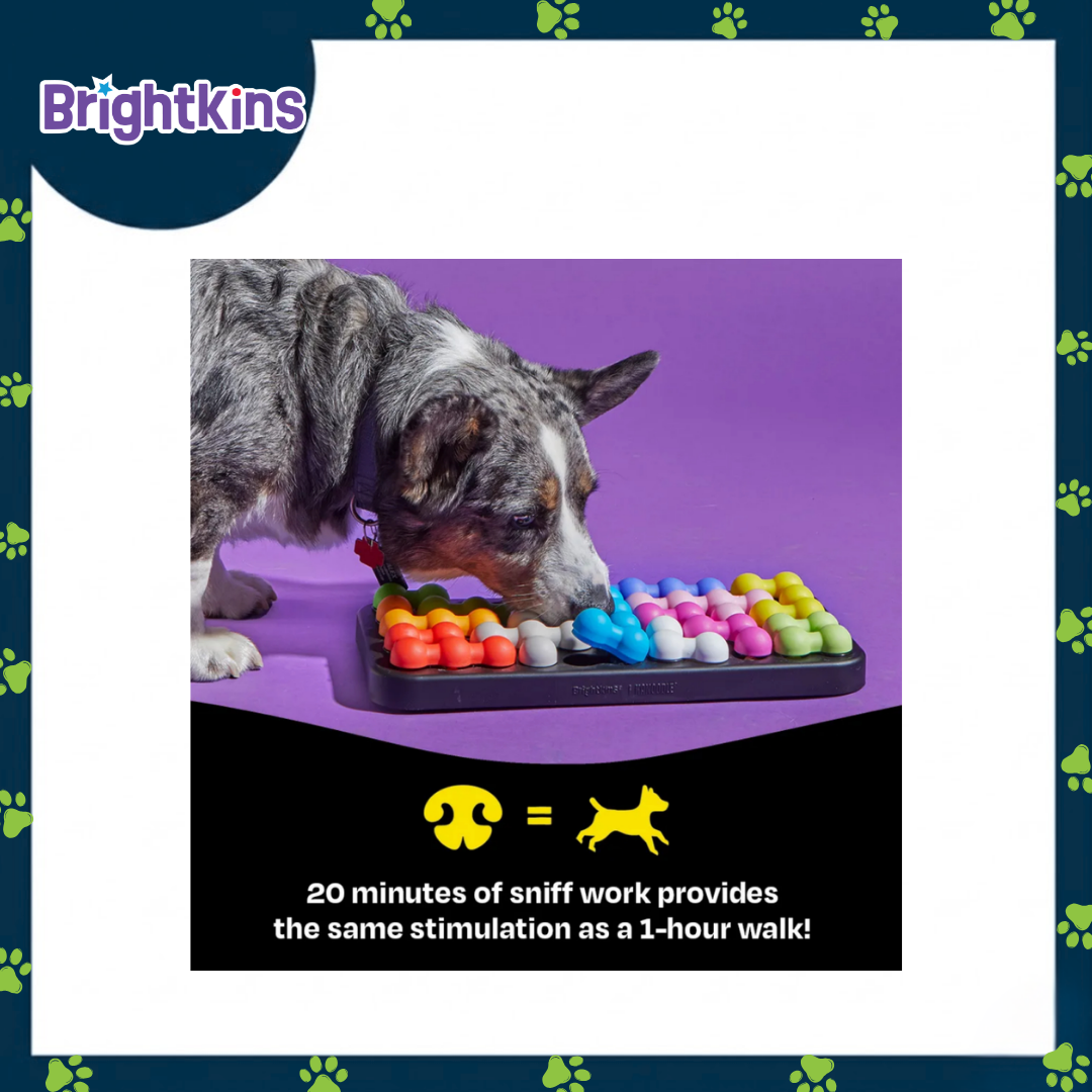 Ogapets Brightkins Kanoodle Dog Edition L Puzzle - BPA-Free, Easy to Clean with 14 Hidden Treat Compartments