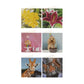 CRAFT ID DIAMOND PAINTING CARDS 2PCS, 13X13CM, 3ASS