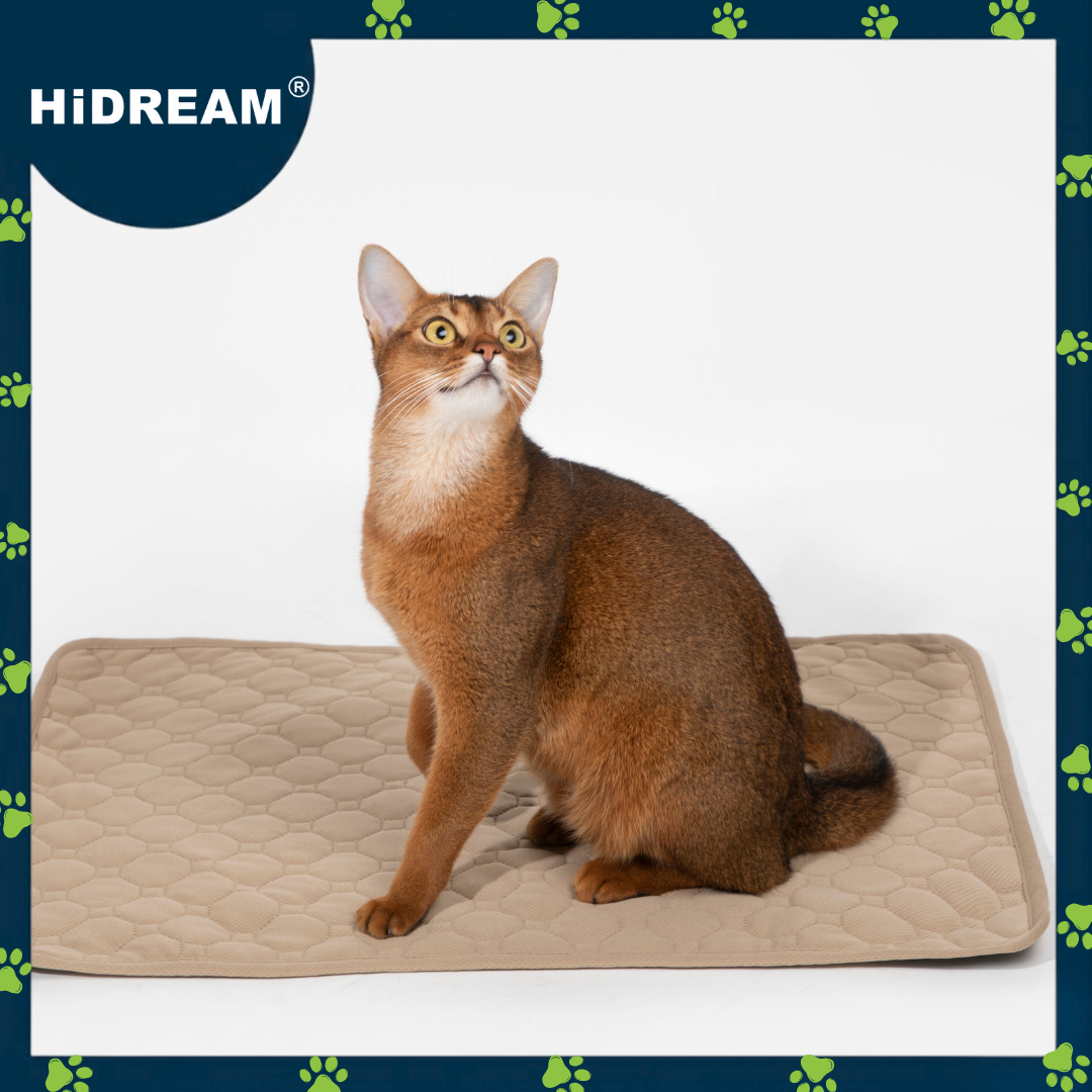 HiDREAM Pet Urinal Pad (washable)