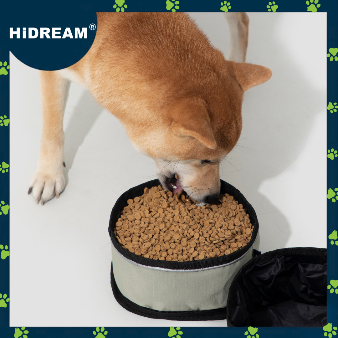 HiDREAM Portable Folding Pet Bowl Brown (nylon)