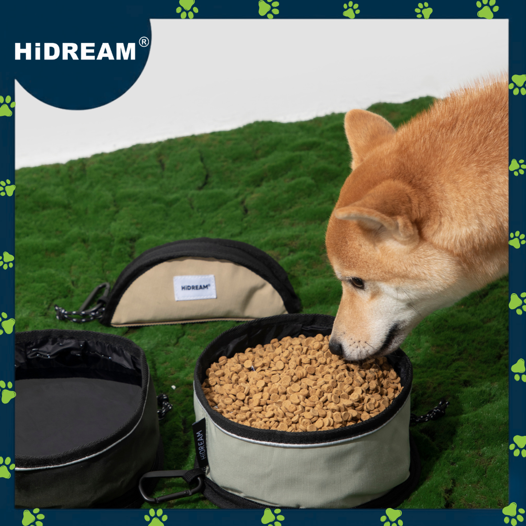 HiDREAM Portable Folding Pet Bowl (nylon)