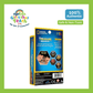 National Geographic Bundle Rock + Mineral Starter Kit + Mini Dig Fools Gold + Treasury Mini Dig Kit