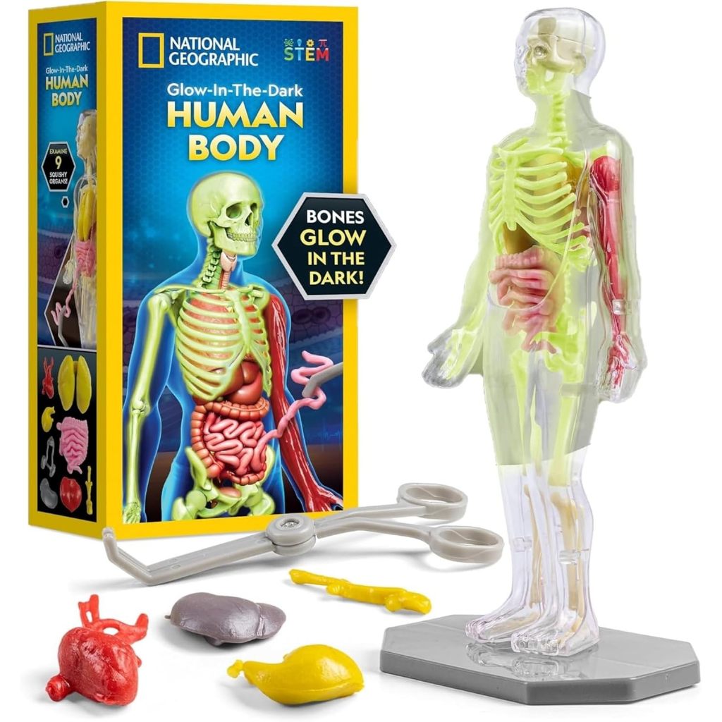 National Geographic Human Body Science Kit