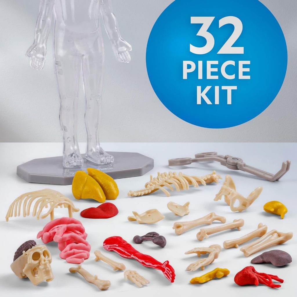 National Geographic Human Body Science Kit